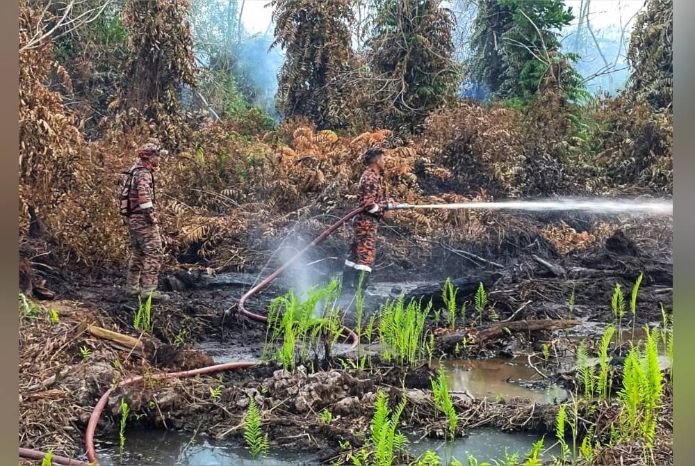 Anggota bomba yang terlibat dalam operasi pemadaman kebakaran hutan berhampiran Ladang KMT Jalan Pekan-Nenasi di sini pada Sabtu. - Foto Bomba