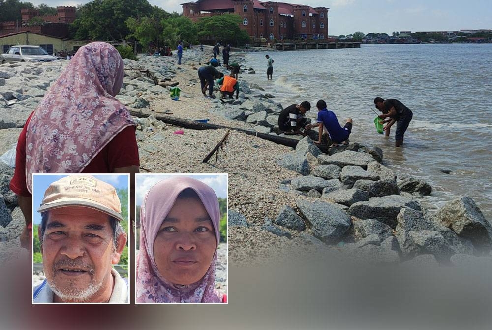 Sekumpulan penduduk tidak melepaskan peluang mencari kepah yang muncul di darat di pantai berdekatan Kota Marina, Kuala Kedah. Gambar kecil dari kiri: Md Radhi, Rohaya