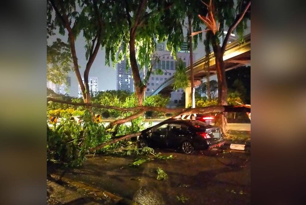 Antara kejadian pokok tumbang di sekitar ibu negara pada Jumaat. - Foto JBPM KL