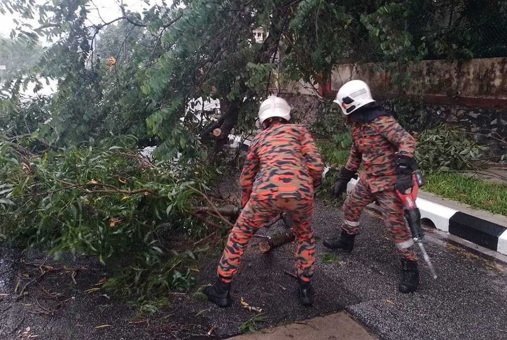 Anggota bomba dan penyelamat sedang memotong pokok tumbang di ibu kota pada Ahad.