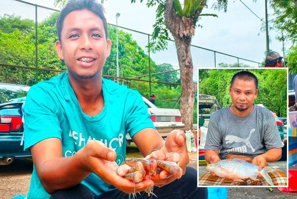 Fazil menunjukkan ikan laih yang sukar diperoleh berbanding ikan bersisik seperti lampam, kerai,tenggalan. (Gambar kecil: Hanafiah)