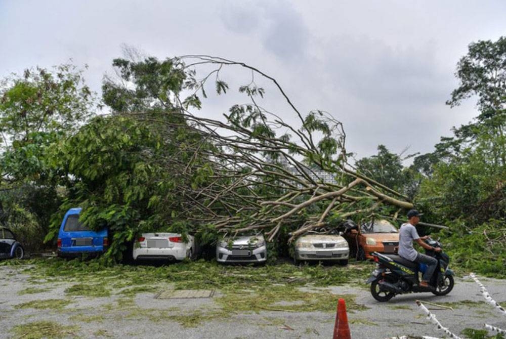 Pokok tumbang menyebabkan kerugian wang ringgit akibat kerosakan harta benda dan infrastruktur awam. - Foto Bernama