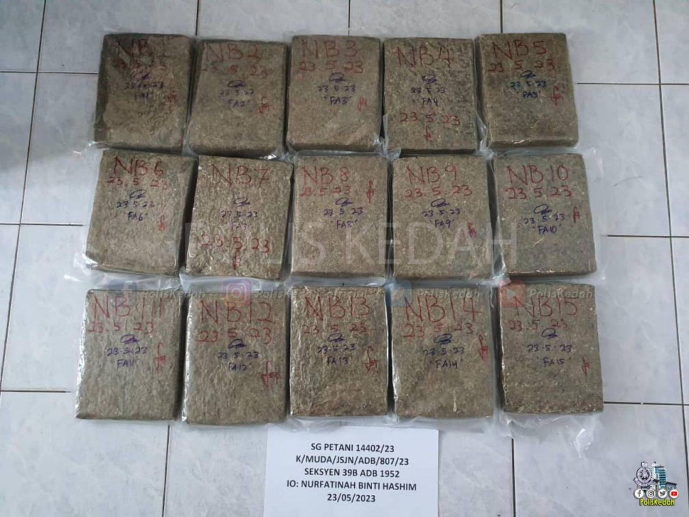 15 bungkusan plastik lut sinar berisi tumbuhan-tumbuhan kering yang disyaki dadah jenis ganja anggaran berat 15,028 gram. - Foto Ihsan polis. 