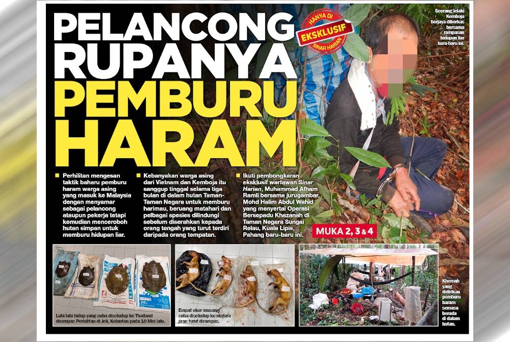 Laporan Sinar Harian.