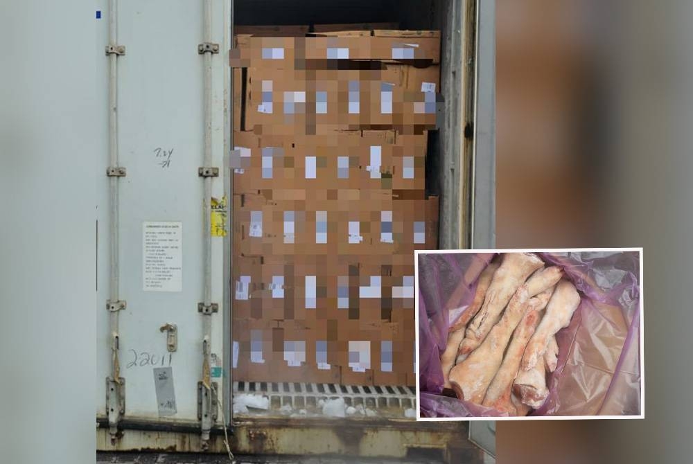 Pengimport gagal mempamerkan label loji penyembelihan yang diiktiraf pada bungkusan dagangan terbabit sepertimana yang dinyatakan dalam syarat permit import yang diluluskan. Gambar kecil: Daging babi sejuk beku yang dirampas Maqis di Pelabuhan Klang Barat, di sini, pada Rabu lalu.