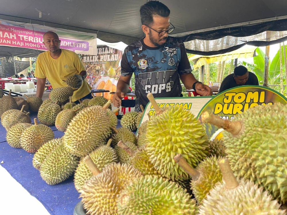 Johan membuka perniagaan durian bersama dua rakannya sejak empat tahun lalu.