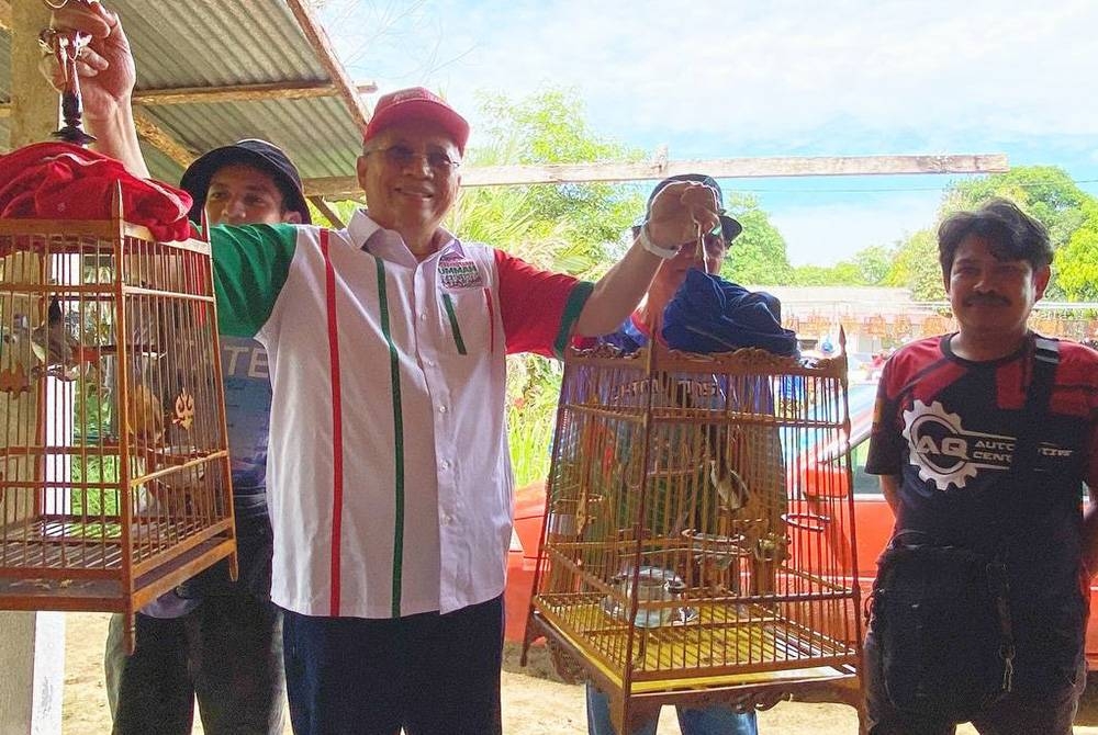 Annuar menunjukkan sebahagian daripada burung candik yang dipertandingkan di Kok Lanas, Kota Bharu pada Sabtu.