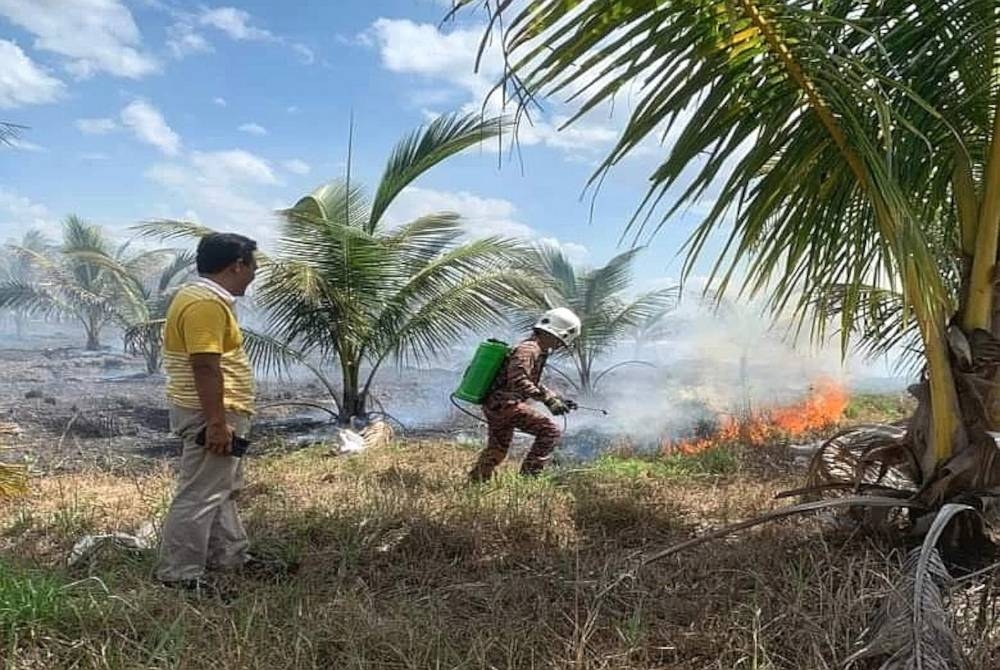 Anggota keselamatan memadam api daripada merebak dalam kejadian kebakaran kebun kelapa di Kampung Pengkalan Kubur, Tembila di Besut pada Ahad.