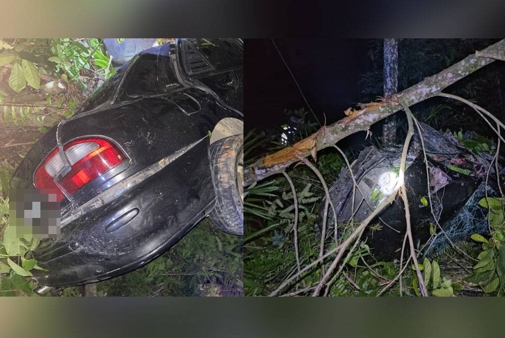 Kenderaan mangsa yang terbabas dan masuk ke dalam semak dalam kemalangan di Kilometer 19, Jalan Gua Musang-Jeli pada Selasa.