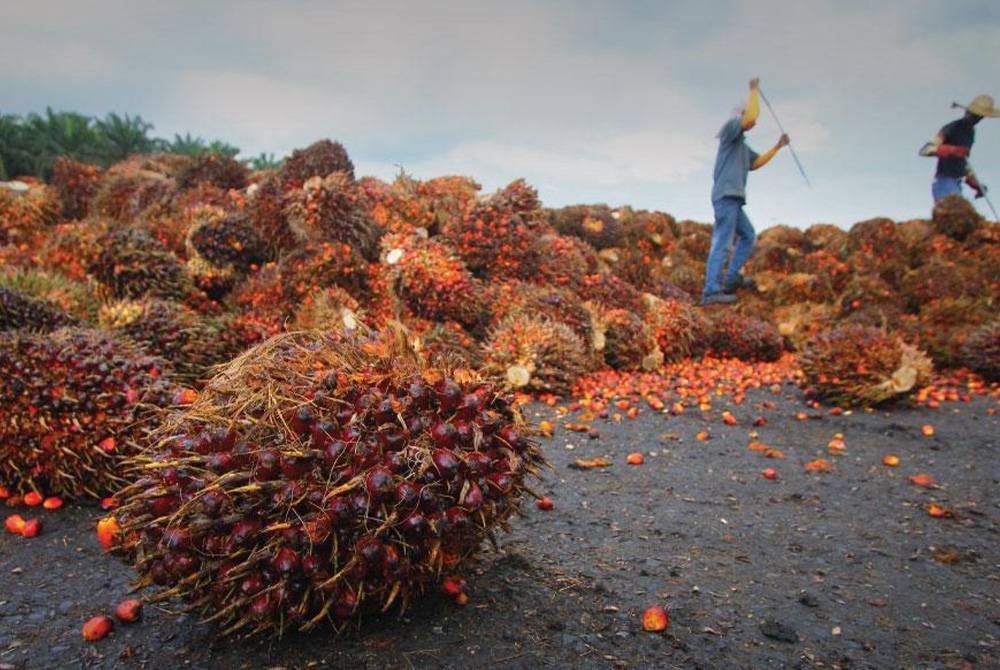 Misi CPOPC menyuarakan kebimbangan dan bantahan terhadap pelaksanaan Peraturan Produk Bebas Penebangan Hutan Kesatuan Eropah (EUDR) sebagai berjaya.