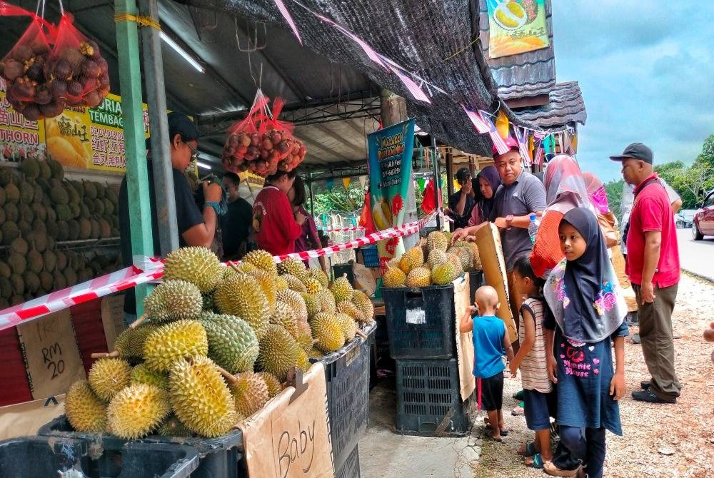 
Orang ramai singgah ke Gerai Malacca Durian Heng di Bukit Kajang pada Khamis.