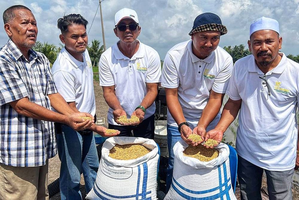 Abdul Rashid (dua dari kanan) menunjukkan benih padi tidak berkualiti yang dijual kepada pesawah di negara ini.