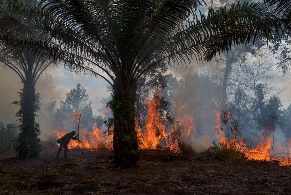 Jumlah kebakaran di beberapa bahagian Sumatera dan Borneo meningkat daripada empat pada awal Mei kepada 16 pada awal bulan lalu. - Foto: Agensi