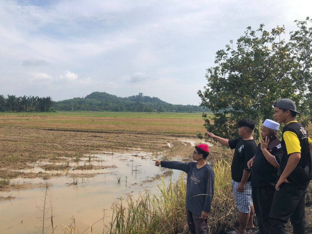 Petani melihat tapak sawah mereka yang mengalami kelewatan penanaman padi akibat masalah saliran air di Kampung Tebing, Napoh pada Jumaat.