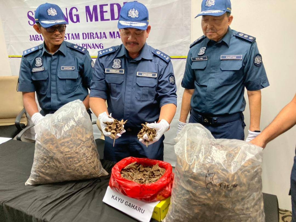 Hamisan (tengah) bersama pegawainya menunjukkan kayu gaharu yang dirampas daripada seorang pelancong China di Lapangan Terbang Antarabangsa Pulau Pinang, pada Mei lalu.