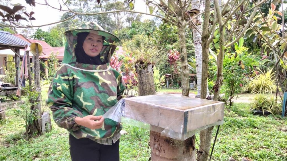 Fazliyaton memeriksa rumah kelulut selepas lebih dua bulan ia dipasang.