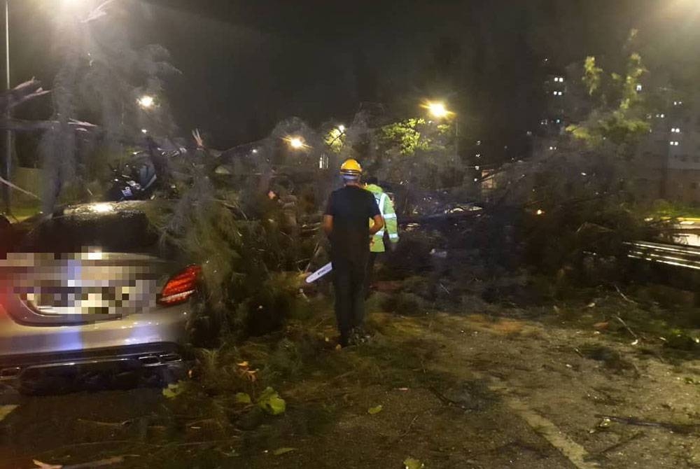 Kejadian pokok tumbang di Lebuhraya Tun Dr Lim Chong Eu mengakibatkan seorang penunggang motosikal maut.