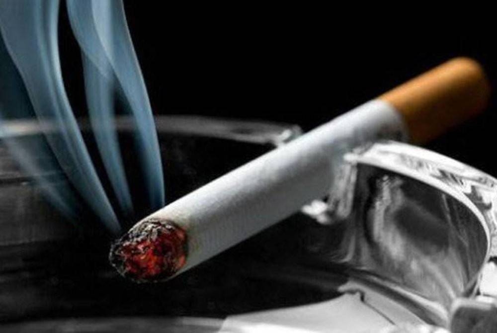 Kerajaan kemungkinan kehilangan hasil cukai yang mungkin datang daripada jualan rokok dan isu privasi berkaitan pengesahan umur yang perlu dilakukan oleh penjual rokok selaras dengan memastikan pembeli dilahirkan selepas 2007. - Gambar hiasan