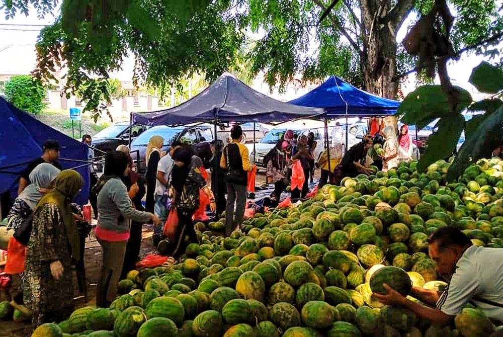 Orang ramai berpusu-pusu membeli tembikai selepas tular di laman sosial Facebook pada Selasa.