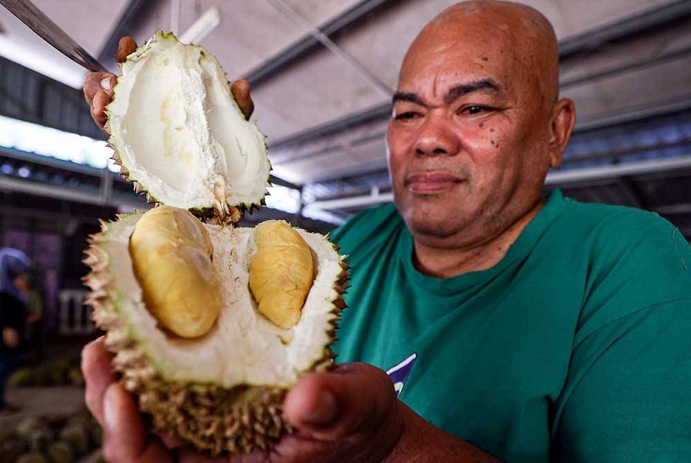 Pak Yas menunjukkan durian kampung di premis miliknya ketika ditemui Bernama di Kampung Bawah Gunung semalam. - Foto Bernama