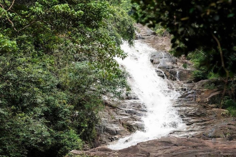 Air Terjun Gunung Ledang yang telah ditutup sejak setahun lalu bagi kerja-kerja naik taraf, akan dibuka semula kepada umum bulan depan.