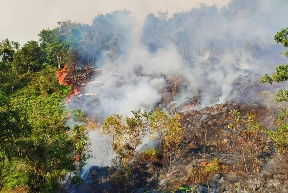 Kawasan hutan seluas hampir dua hektar di Bukit Semanggol terbakar dipercayai akibat aktiviti pembakaran terbuka pada Jumaat. - Foto: Bomba Perak