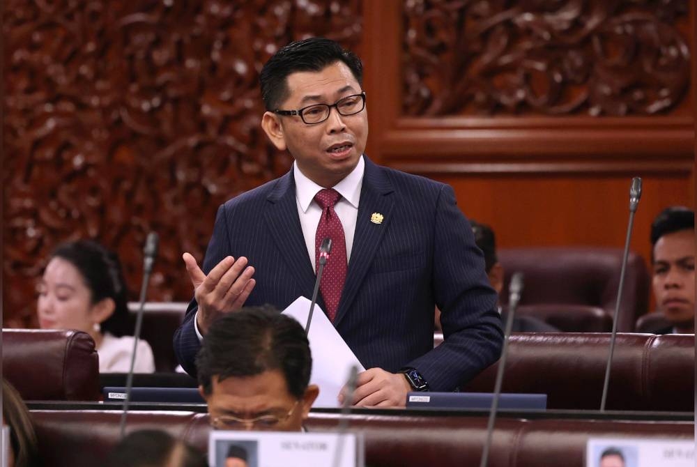 Mohamad berucap pada Persidangan Dewan Negara di Bangunan Parlimen, pada Isnin. - Foto Bernama