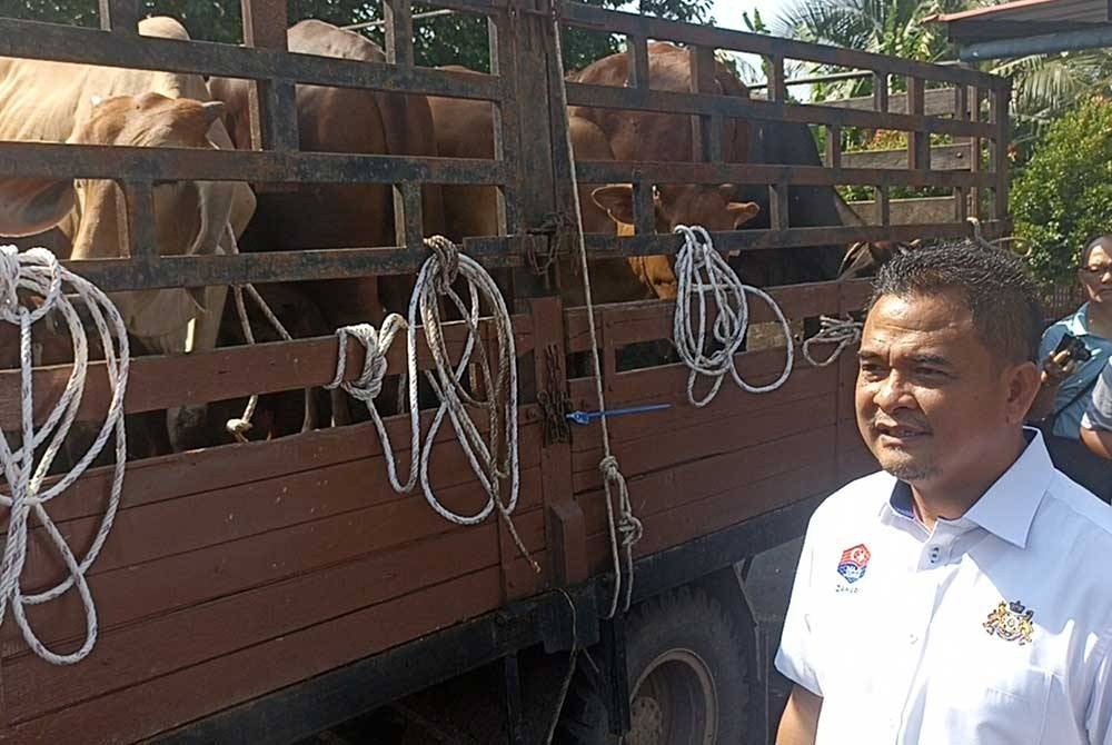 Zahari melihat lembu baka yang diberikan kepada penternak tempatan di Pejabat Veterinar Segamat pada Selasa.