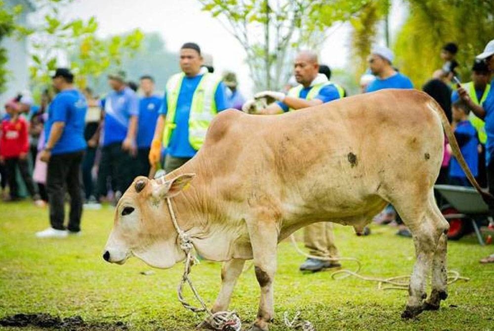 Gambar hiasan - Foto123RF