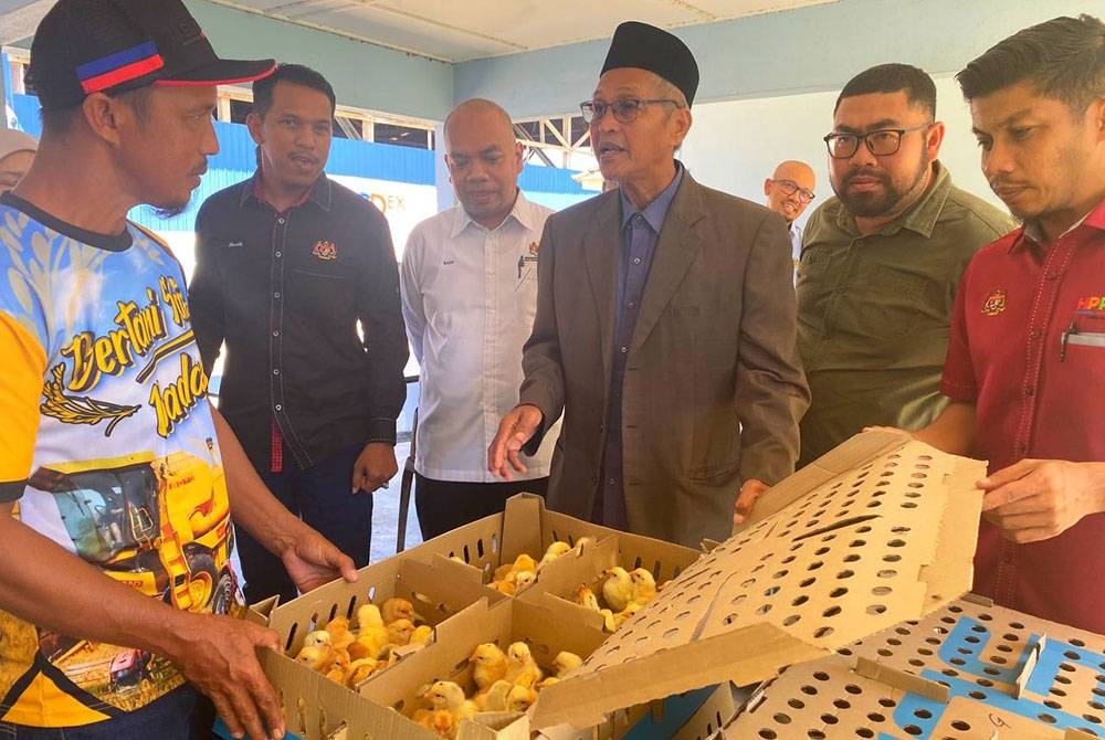 Muhamad (tiga dari kanan) menyerahkan anak ayam kepada petani yang terpilih pada Majlis Penyampaian Bantuan Program Peningkatan Pendapatan Petani Agro Industri Seliaan Padi (ternakan unggas) di Pejabat KADA Selising, Pasir Puteh.