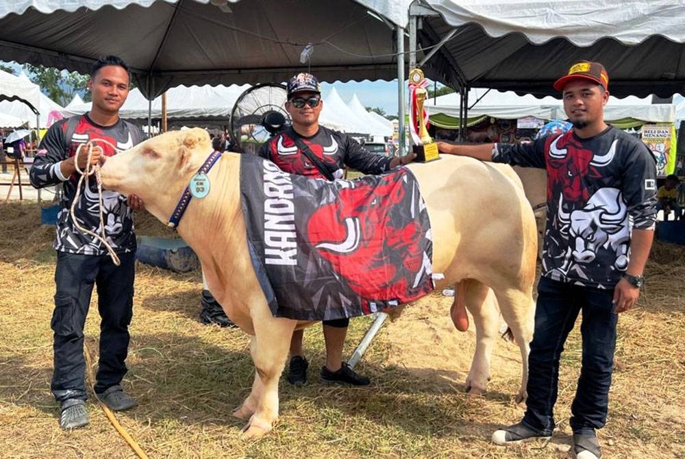 Nik Mohamad Salahudin (tengah) bersama dua adiknya,Nik Shamsuliskandar dan Nik Sulaiman di samping Rudy ketika dinobatkan Prince of Sado ketika Himpunan Lembu Sado Pantai Timur 2022 di Jabi, Besut.