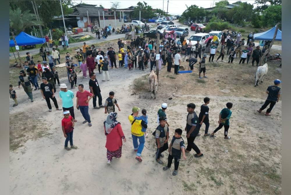 Salah seekor lembu yang disembelih sempena majlis korban perdana di Kampung Chendering Pantai di Kuala Terengganu pada Khamis.