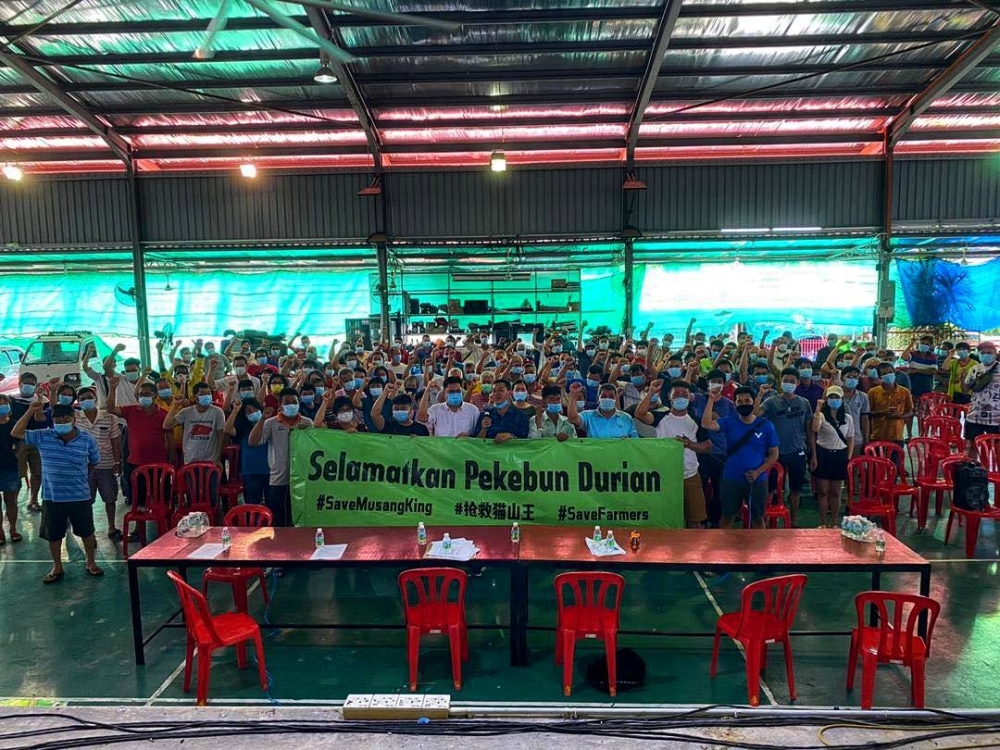 Mahkamah Tinggi Kuantan menolak permohonan RPDR-PKPP untuk membatalkan prosiding semakan kehakiman yang dibawa oleh dua kumpulan pekebun durian musang king di Raub.