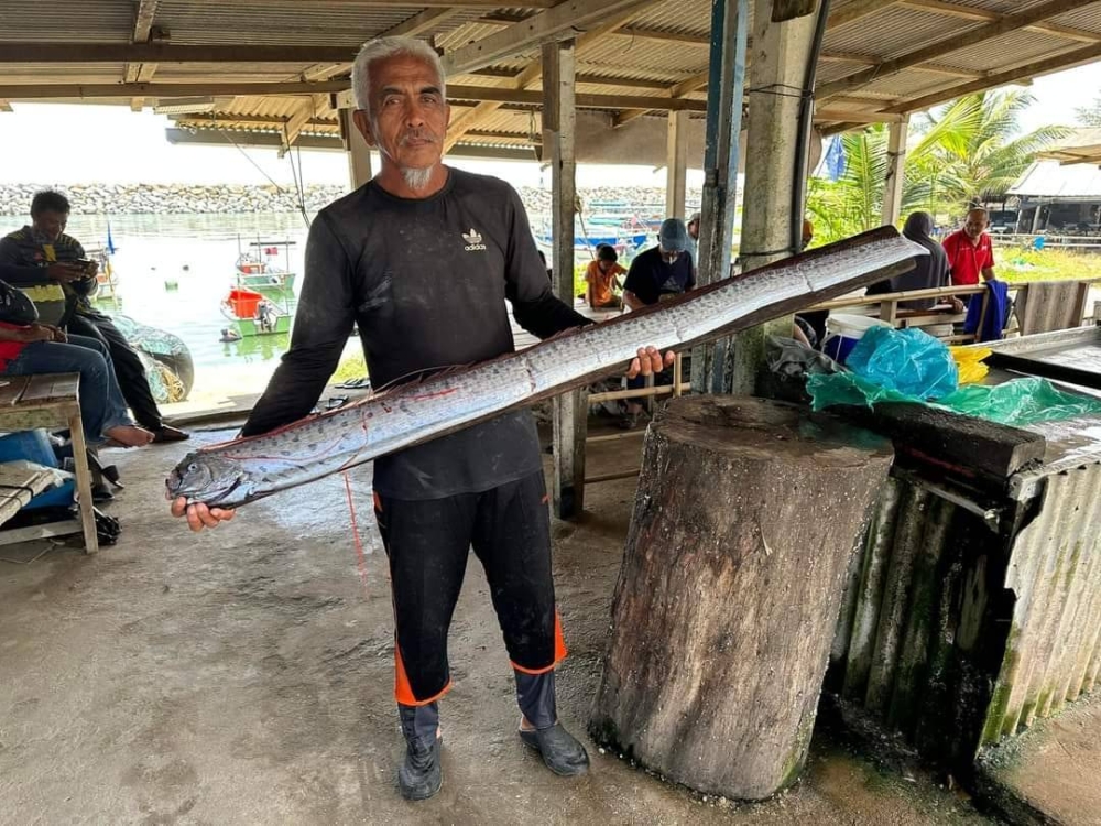 Harun menunjukkan ikan naga laut atau dikenali sebagai oarfish yang tersangkut pada pukat hanyut yang ditahan pada Jumaat. 