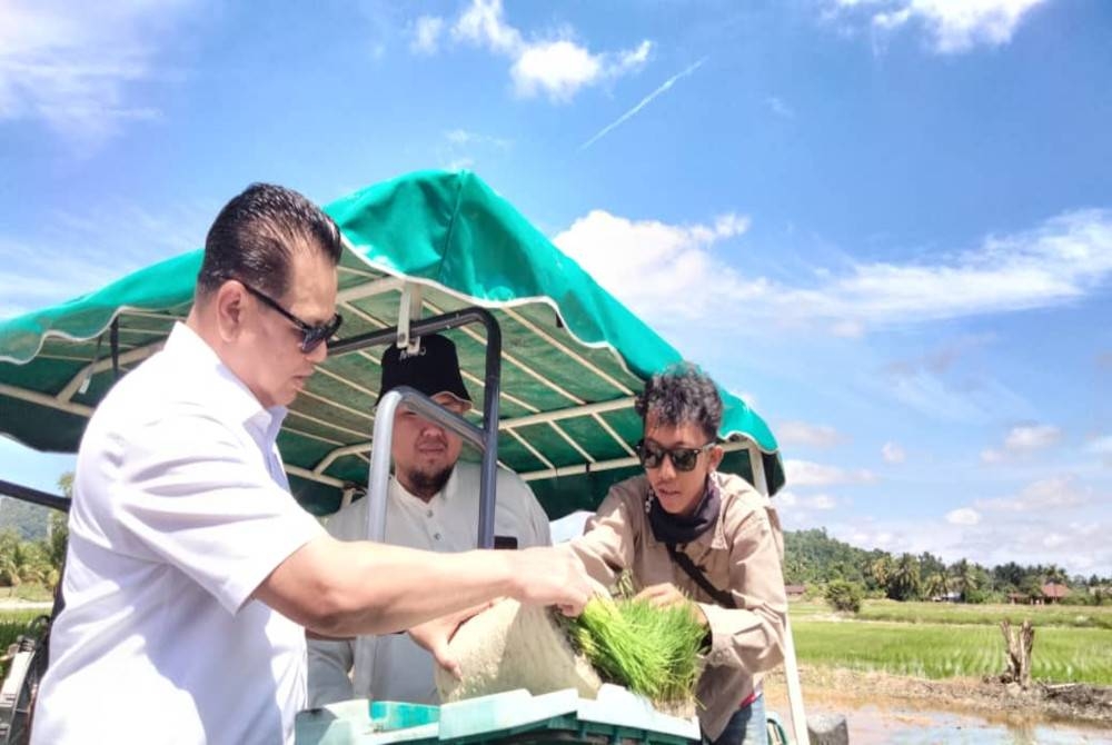 Azman melihat padi yang ditanam pada Majlis Perasmian Program SMART Sawah Berskala Besar (SMART SBB) Ala Sekinchan IADA Kemasin Semerak - Kilang Beras Rajang di Kampung Surau Bator, Jelawat