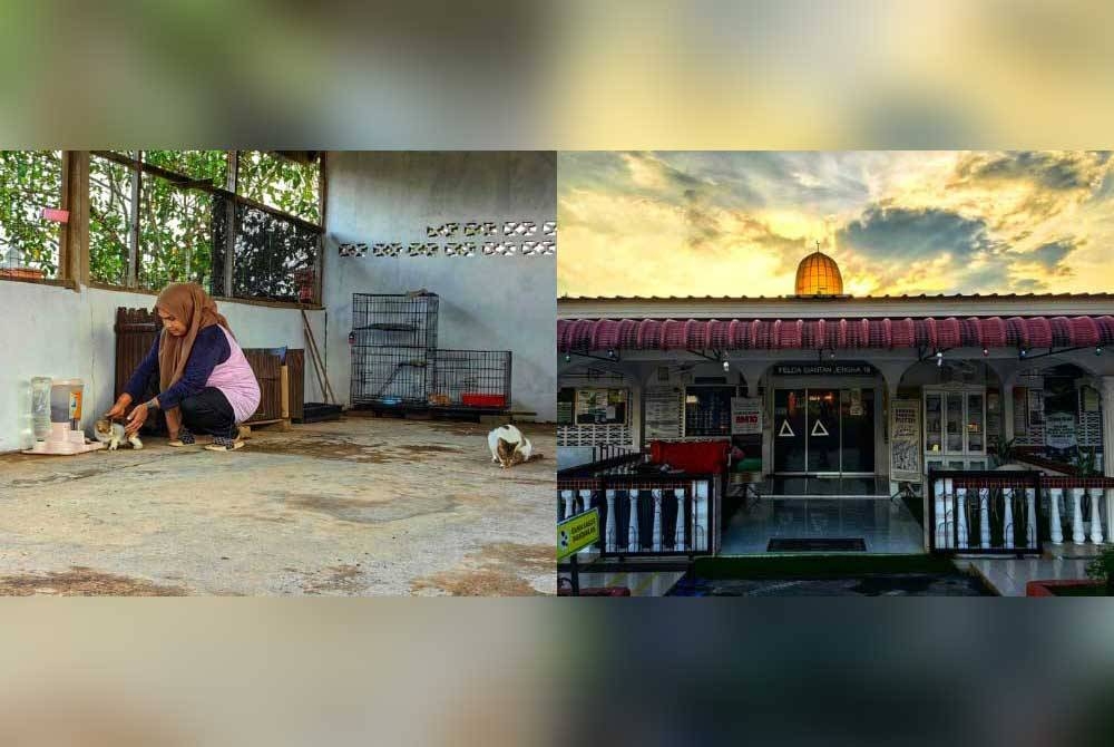 Kandang kucing yang kini menempatkan lebih 10 ekor kucing. Gambar kanan: Masjid Nurul Huda Felda Siantan Jengka 19.