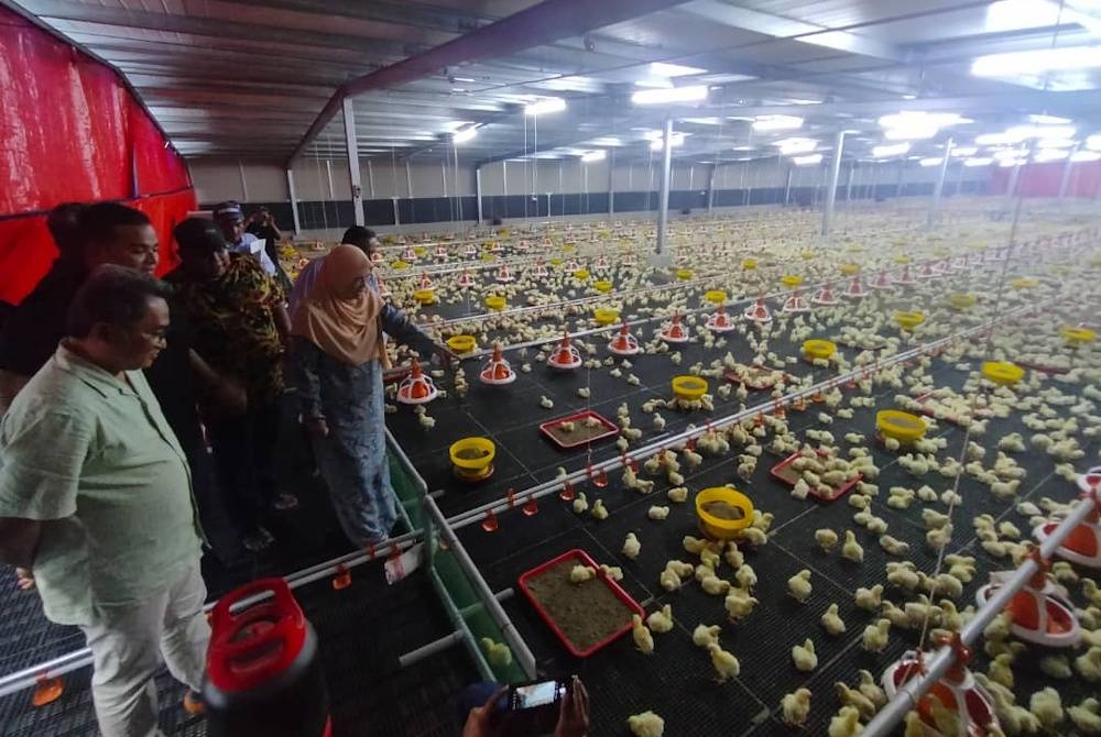 Rodziah (kanan) sewaktu membuat lawatan ke Projek Ternakan Ayam Daging Tertutup Pertubuhan Peladang Kawasan Kuala Langat di Kampung Tumbuk Darat di Kuala Langat pada Rabu.