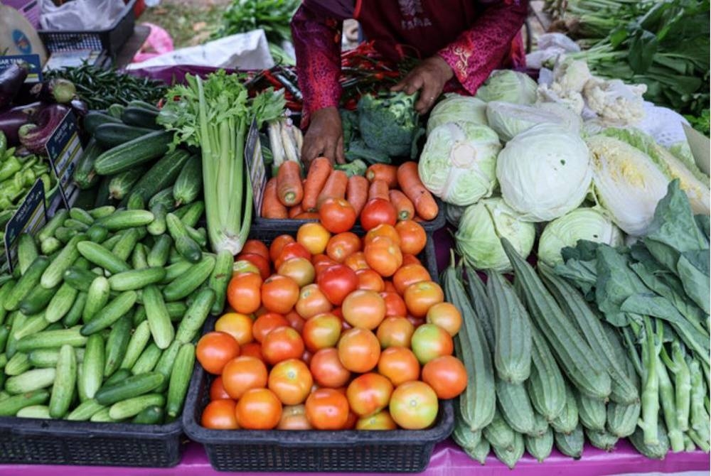 Harga barangan termasuk sayuran didapati mengalami peningkatan harga ketika ini. - Gambar hiasan