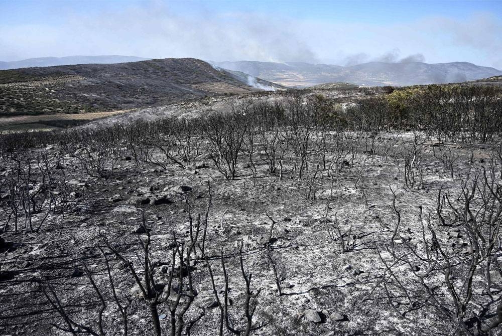 Cuaca panas menyebabkan hutan terbakar termasuk di bandar Volos, Greek - Foto AFP