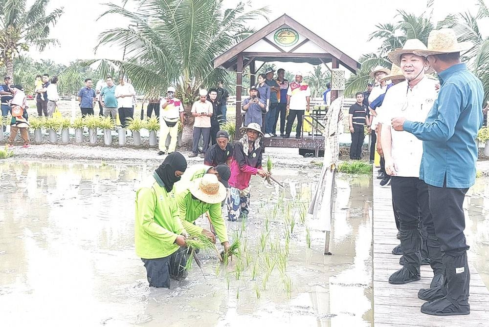 Foong Hin (Dua dari kanan) semasa meninjau proses tanaman padi semasa Majlis Perasmian Pelancaran Taman Agroteknologi Mardi Tanjong Karang pada Ahad.