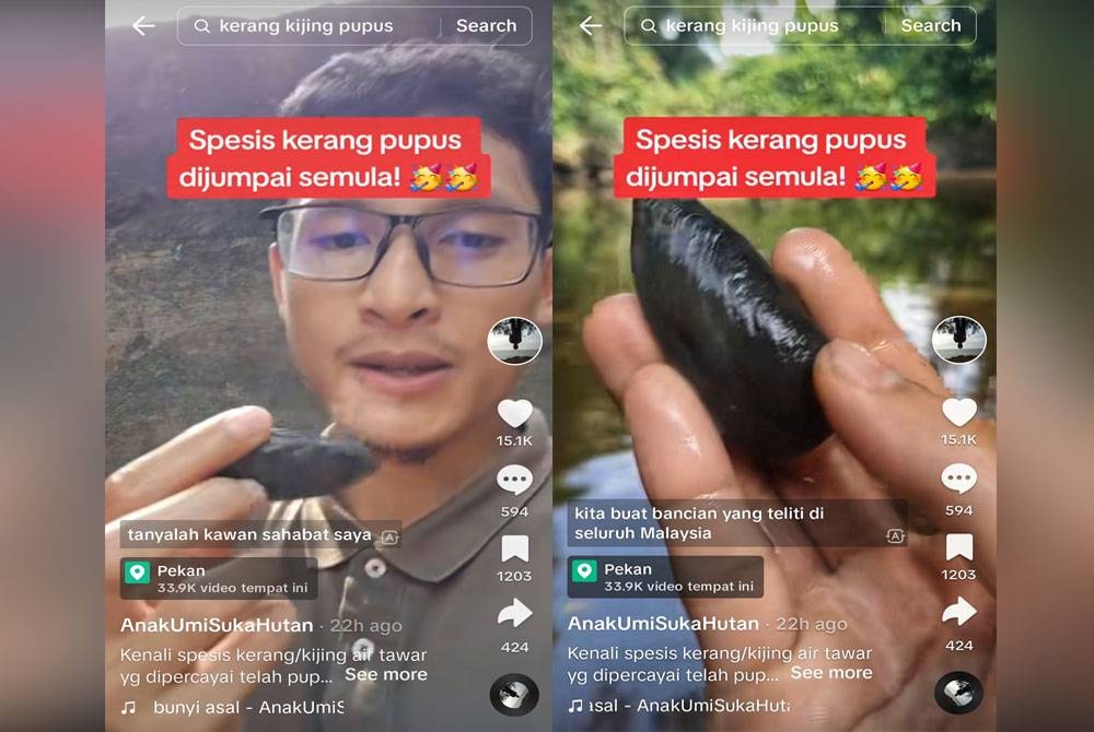 Tangkap layar video yang dimuat naik pelajar tersebut di TikTok pada Sabtu menunjukkan spesies kerang atau kijing air tawar yang dipercayai telah pupus 40 tahun lalu.