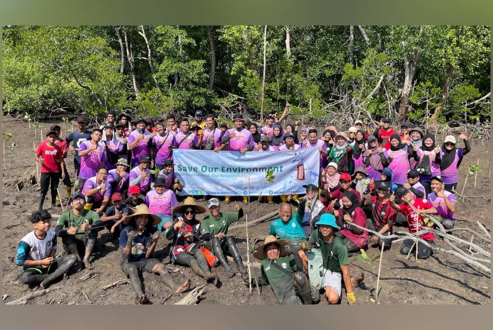 Sukarelawan MR D.I.Y Cares bersama komuniti Changkat Keruing dan sukarelawan Persatuan Aktivis Sahabat Alam (Kuasa) menanam 1,000 anak pokok bakau di Taman Tebingan Sungai Bakau di Changkat Keruing, Perak.