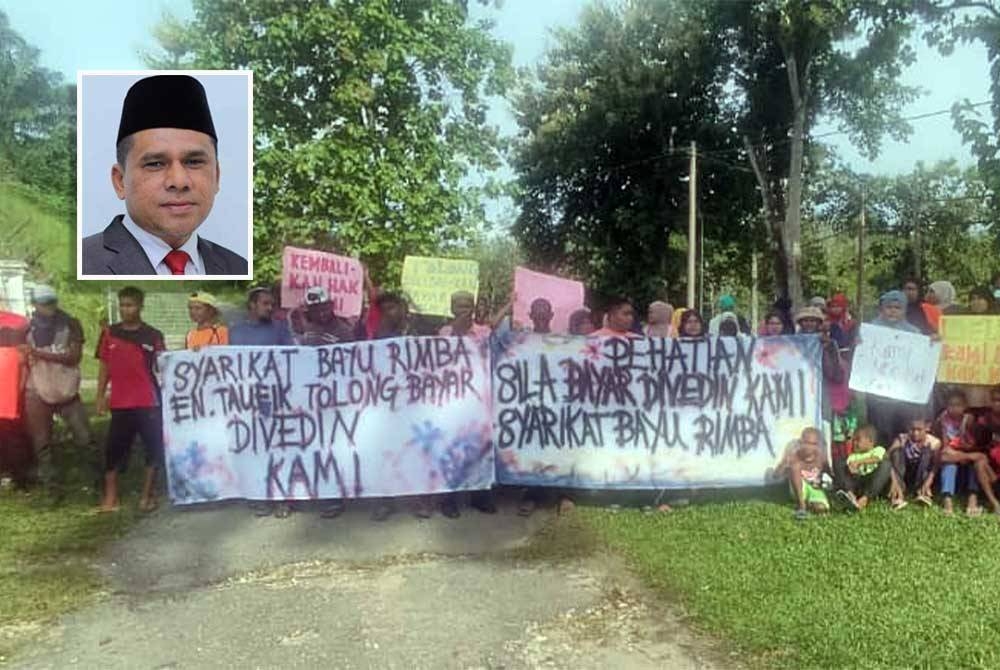 Peserta ladang getah Orang Asli Suku Kensui di Kampung Lubuk Legong, Baling kecewa kerana tidak menerima dividen getah yang tertunggak sejak setahun lalu daripada sebuah syarikat pengurusan ladang. (Gambar kecil: Mohd Taufik)