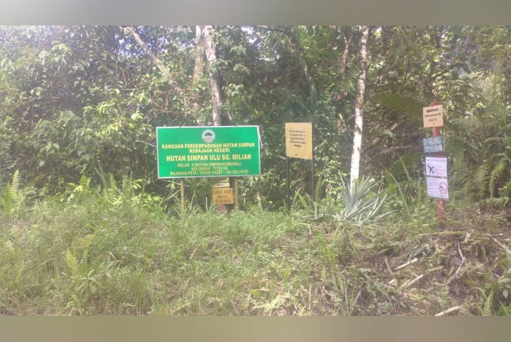 Pasukan bomba dalam usaha menyelamatkan mangsa yang berada di Hutan Simpan Sapulut.