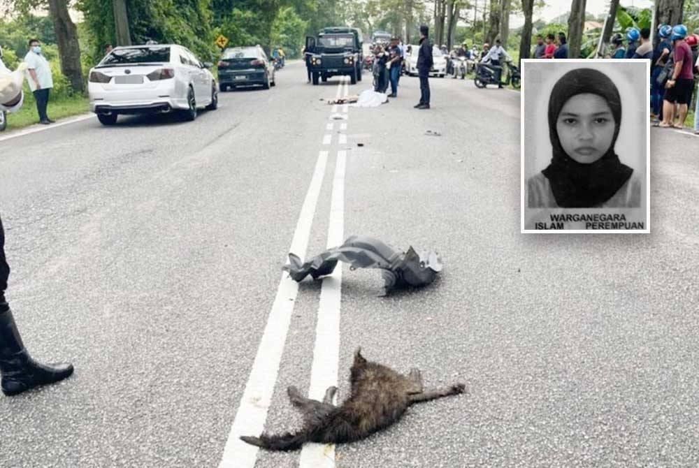 Mangsa terjatuh sebelum dilanggar sebuah kereta ketika cuba mengelak bangkai anjing. Gambar kecil: Nur Eliya Ezzatul