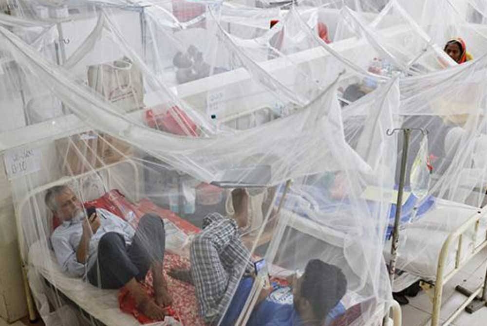 Sekurang-kurangnya 201 orang meninggal dunia, dengan lebih daripada separuh kes berlaku di Dhaka, sementara lebih 37,000 telah dijangkiti virus itu setakat tahun ini. - Foto Reuters/Mohammad Ponir Hossain