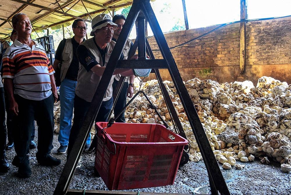 Fadillah (tiga dari kiri) melihat proses timbang dan jual beli getah sekerap di Pusat Pengumpulan Getah (PMG) sempena program Trek Komoditi Zon Tengah Semenanjung di Kuala Sawah, pada Sabtu. - Foto Bernama