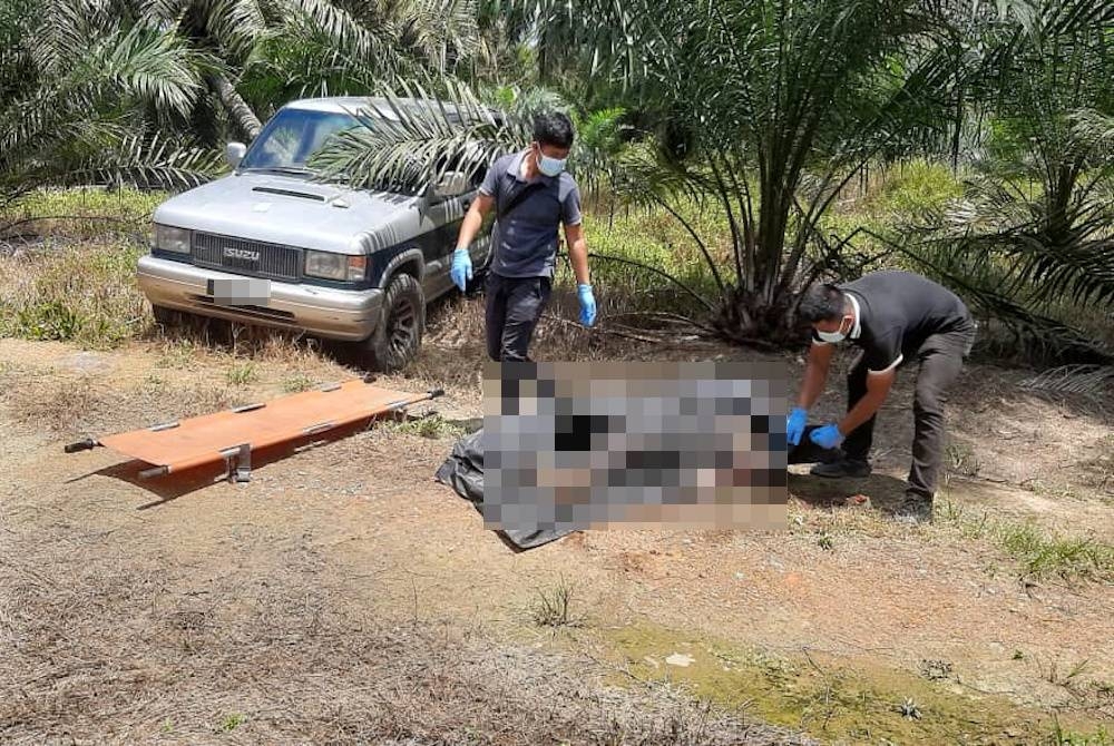 Seorang warga emas ditemukan meninggal dunia di tepi pacuan empat roda dalam kawasan kebun sawit di Kampung Paya Mas 2, Simpang Renggam, Kluang pada Isnin.