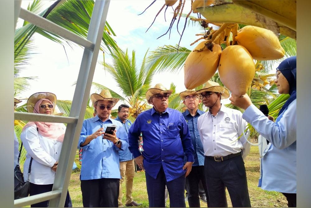 Mohd Zolkafly (tiga dari kiri) melihat pokok kelapa induk yang digunakan bagi menghasilkan varieti baharu kelapa oleh MARDI di MARDI Bagan Datuk di sini pada Isnin.