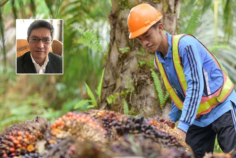 Advokasi Perusahaan dan Industri gesa peniaga pasar raya dan peruncit hentikan jualan barangan berlabel &#039;tanpa minyak sawit&#039; atau bakal berdepan tindakan undang-undang. Gambar kecil: Fazli